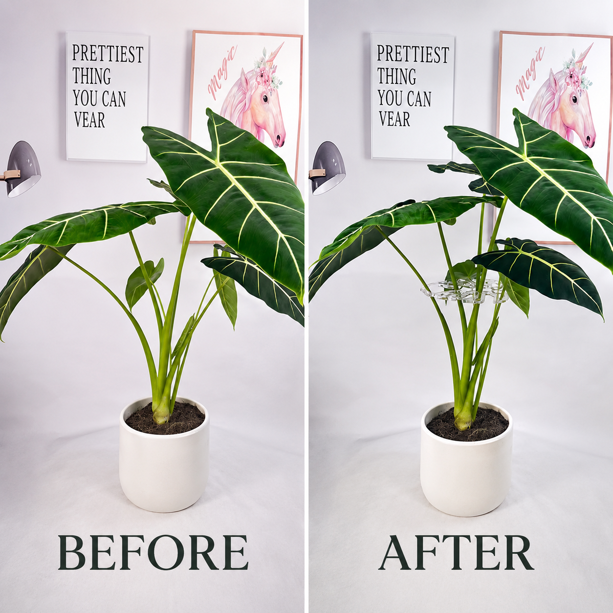 🏷️Invisible Clear Plant Support Ring Hooks (8 / 12 / 20 Pack)