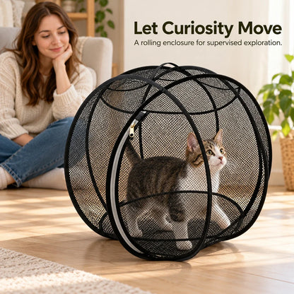 Small cat taking a step inside a mesh enclosure on a level floor with an owner nearby.