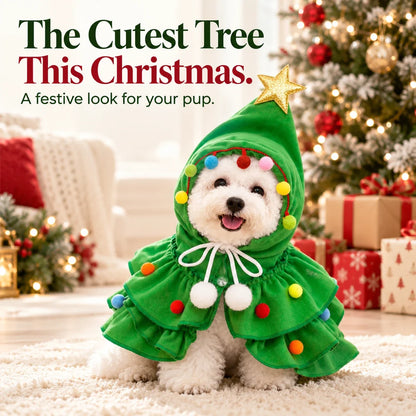Christmas Dog Cape 🎄 Festive Tree Costume for Holiday Photos