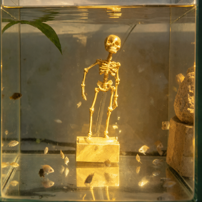 🌊 Fish-Safe Poseable Skeleton Decor 💀