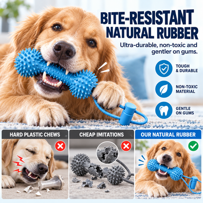 Interactive Dog Dental Chew Toy & Oral Cleaning Stick 🦷