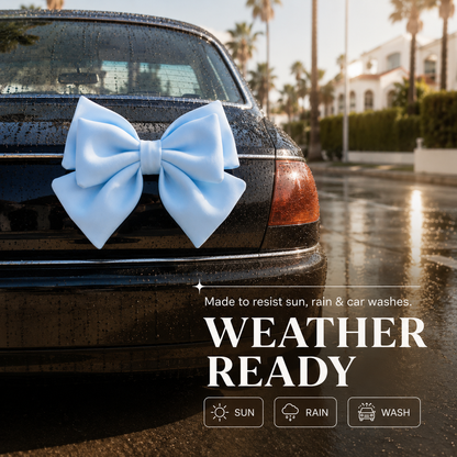 🎀 3D Plush Bow Car Exterior Decor