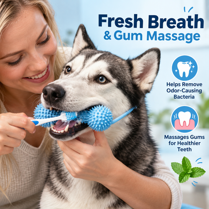 Interactive Dog Dental Chew Toy & Oral Cleaning Stick 🦷