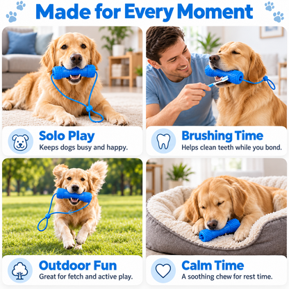 Interactive Dog Dental Chew Toy & Oral Cleaning Stick 🦷
