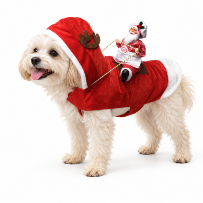 🎅 Christmas Dog Riding Santa Outfit - Funny Holiday Pet Apparel 🎁
