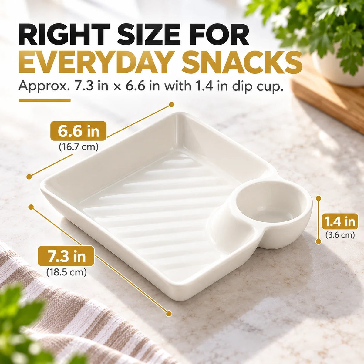 4-Pack Divided Snack Plates with Sauce Compartment