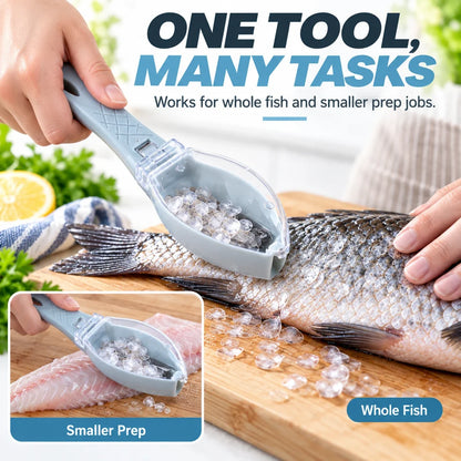 Fish Scaler Tool with Scale Catcher | Easy Fish Prep
