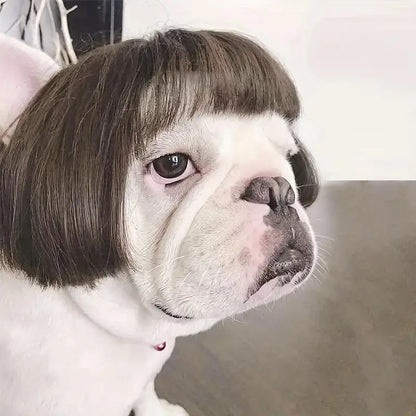 Cute Short Hair Pet Wig Headband